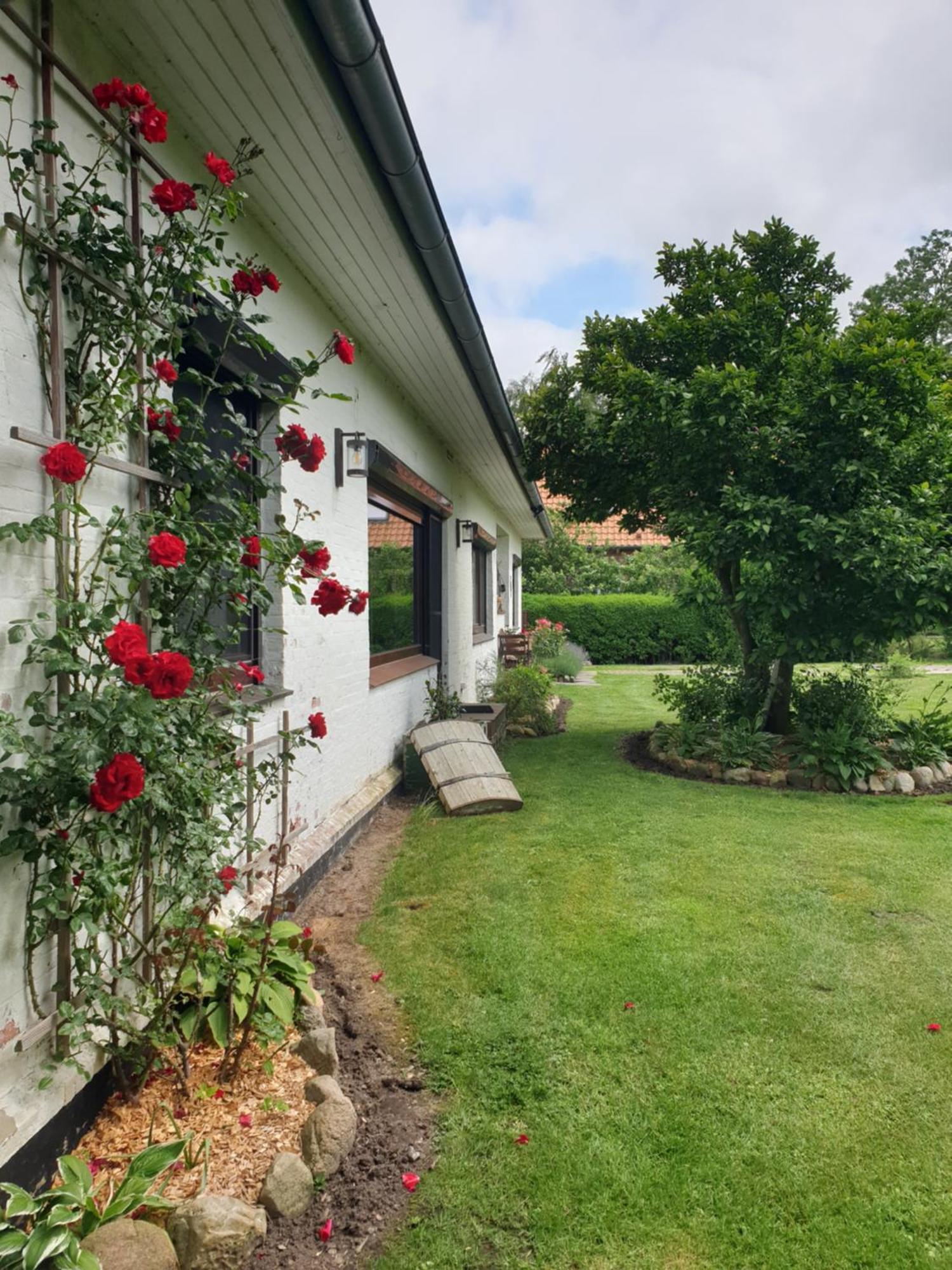 Osteblick Appartement Oberndorf  Buitenkant foto